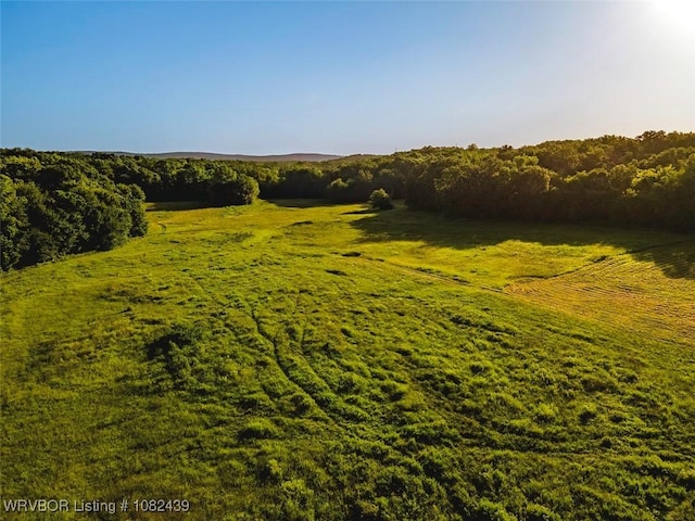 TBD N 4490th Rd, Vian, OK 74955 - photo 13