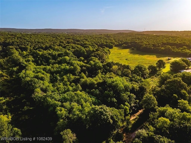 TBD N 4490th Rd, Vian, OK 74955 - photo 21