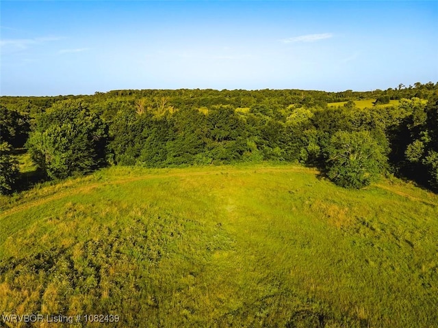 TBD N 4490th Rd, Vian, OK 74955 - photo 14