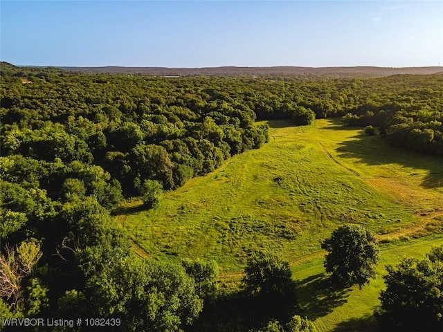 TBD N 4490th Rd, Vian, OK 74955 - photo 18