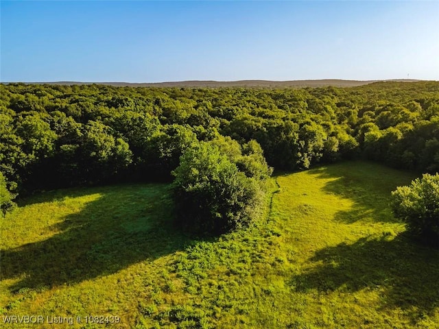 TBD N 4490th Rd, Vian, OK 74955 - photo 12