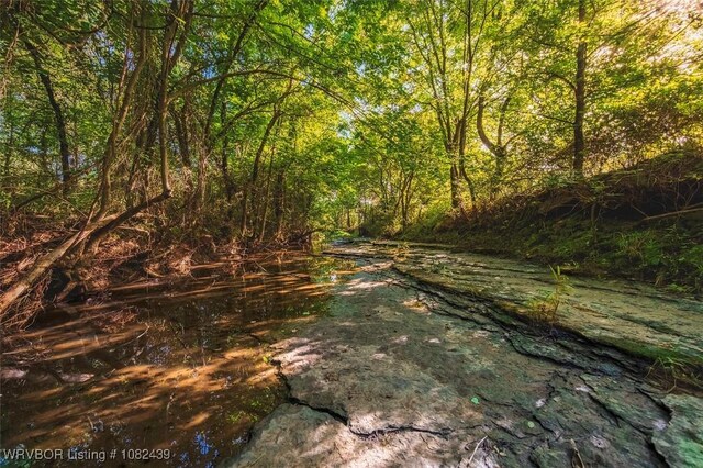 TBD N 4490th Rd, Vian, OK 74955 - photo 6