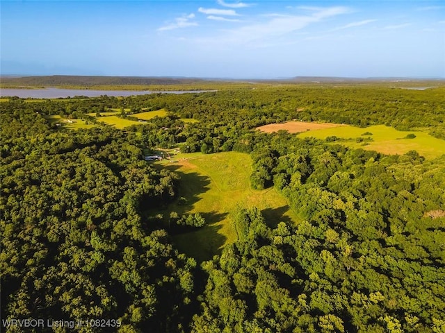 TBD N 4490th Rd, Vian, OK 74955 - photo 1