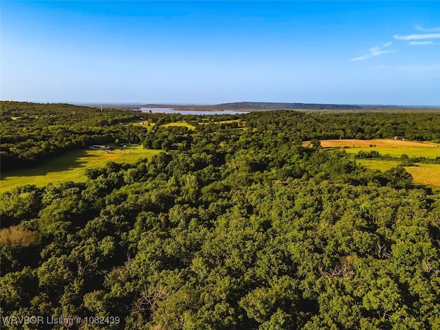 TBD N 4490th Rd, Vian, OK 74955 - photo 16