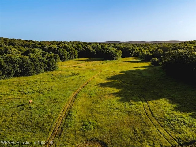 TBD N 4490th Rd, Vian, OK 74955 - photo 15