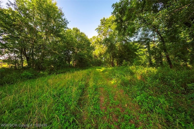 TBD N 4490th Rd, Vian, OK 74955 - photo 7