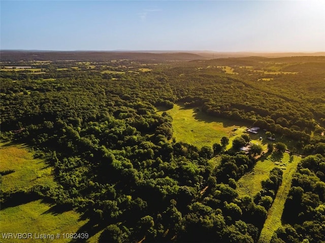 TBD N 4490th Rd, Vian, OK 74955 - photo 22
