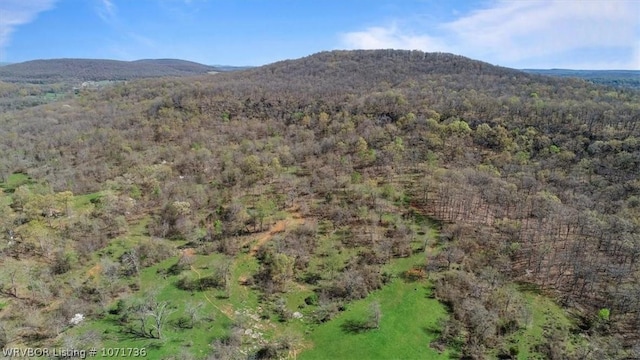87387 S 4719, Stilwell, OK 74960 - view of mountain feature