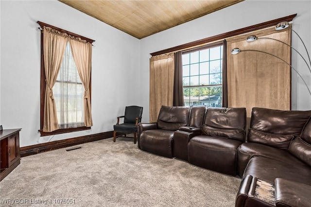 cinema featuring a wealth of natural light, carpet floors, and wooden ceiling