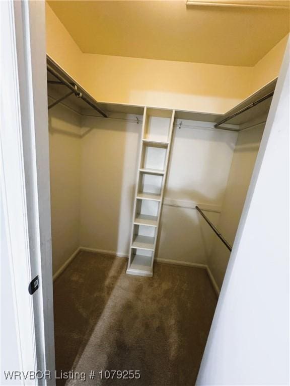 walk in closet with carpet