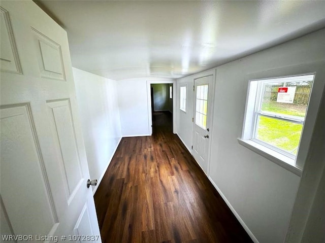 hall featuring dark hardwood / wood-style floors