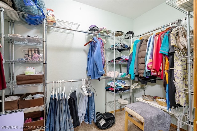 spacious closet with carpet floors