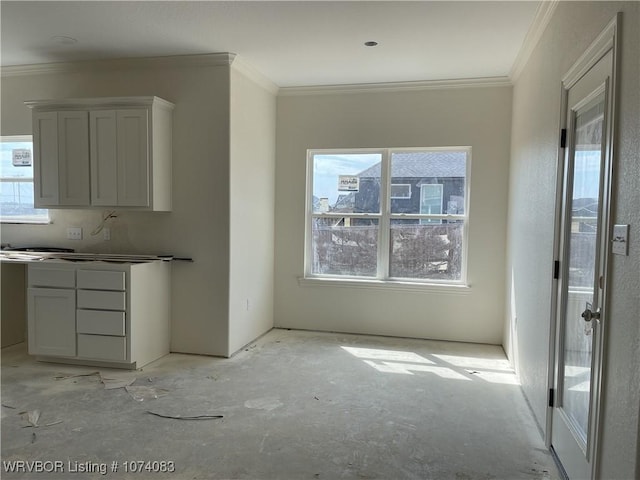 interior space with crown molding and plenty of natural light