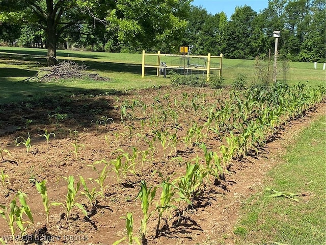 935 Florence Cir, Mulberry, AR 72947 - view of green lawn