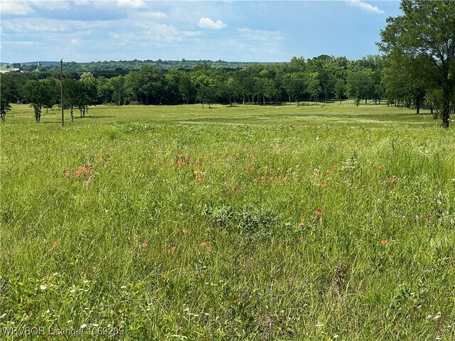 LOT4 Meadow View Rd, Cameron, OK 74932 - photo 9