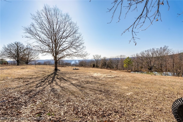 view of yard with a rural view