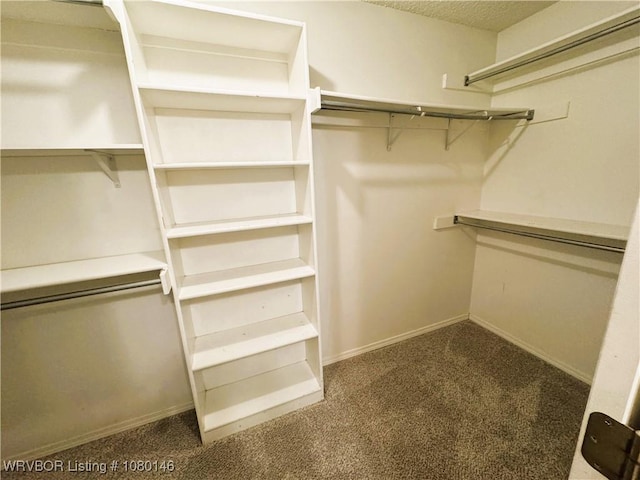 9506 Londonderry Ct, Fort Smith, AR 72908 - spacious closet featuring carpet floors
