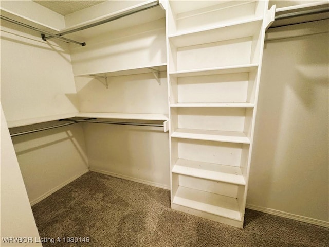9506 Londonderry Ct, Fort Smith, AR 72908 - walk in closet with carpet flooring