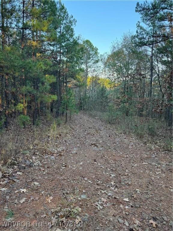 Listing photo 2 for TBD Highway 128, Heavener OK 74937