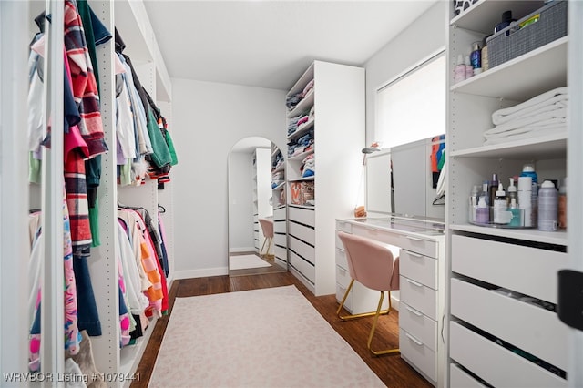 walk in closet featuring dark wood-style floors