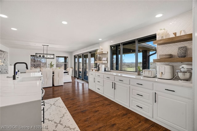 kitchen with dark wood-style floors, plenty of natural light, a sink, and open shelves