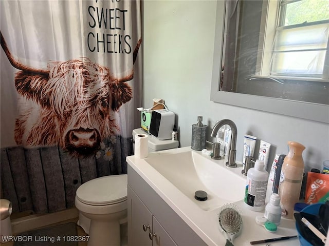 309 N 25th St, Ozark, AR 72949 - bathroom featuring vanity and toilet