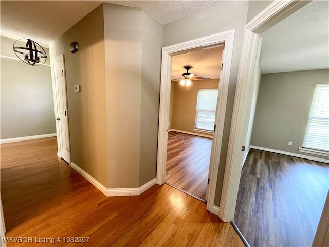 4104 Glen Flora Way, Fort Smith, AR 72908 - hall with wood finished floors and a textured ceiling