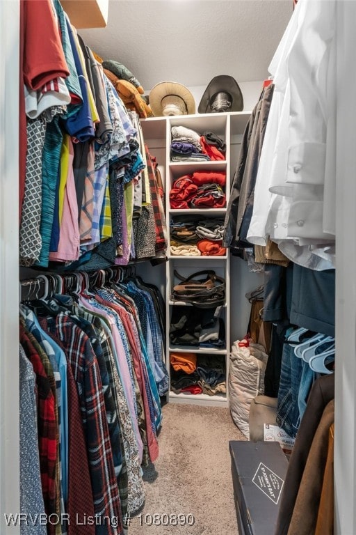 walk in closet featuring carpet flooring