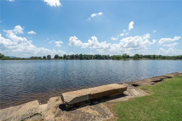 8813 Crown Pt, Hackett, AR 72937 - photo 60