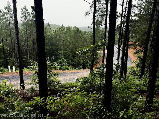 233 Virginia Pine Pl, Broken Bow, OK 74728