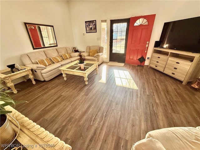 living room with dark hardwood / wood-style floors