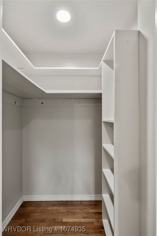 spacious closet featuring dark wood-type flooring