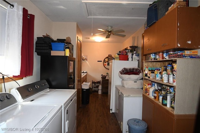 laundry room with ceiling fan, dark hardwood / wood-style flooring, and independent washer and dryer