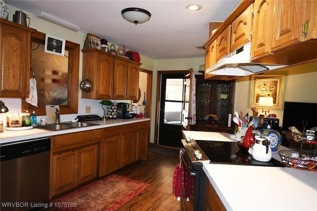 kitchen featuring sink, dark hardwood / wood-style floors, stainless steel dishwasher, and electric stove