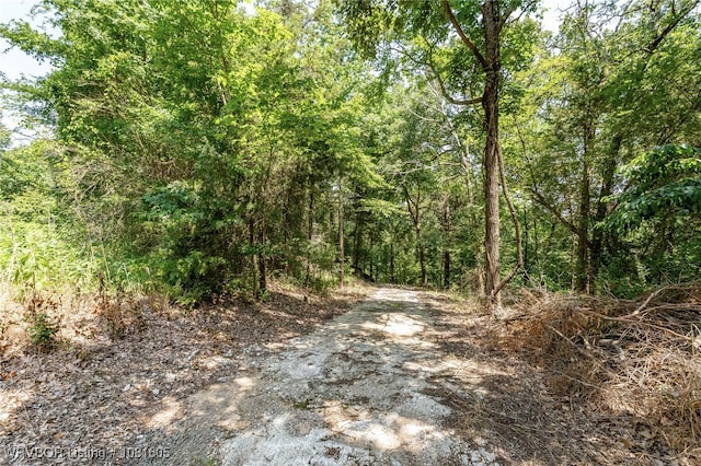 799 Sugar Maple Bnd, Rudy, AR 72952 - view of street with a wooded view