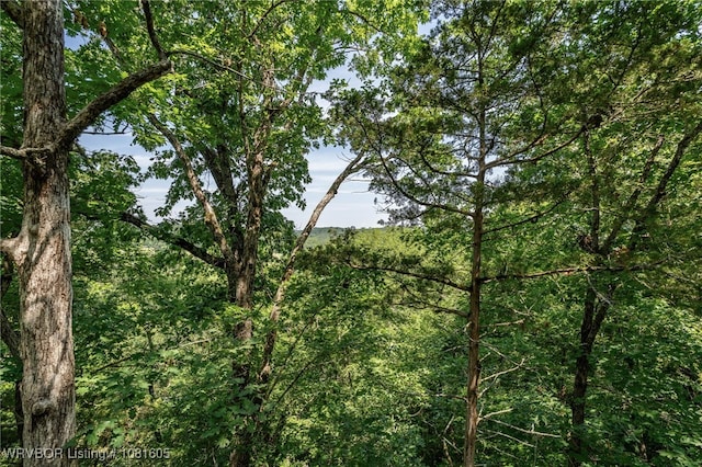 799 Sugar Maple Bnd, Rudy, AR 72952 - view of tree filled area