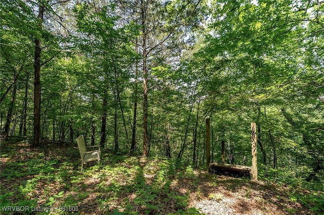 799 Sugar Maple Bnd, Rudy, AR 72952 - view of wooded area