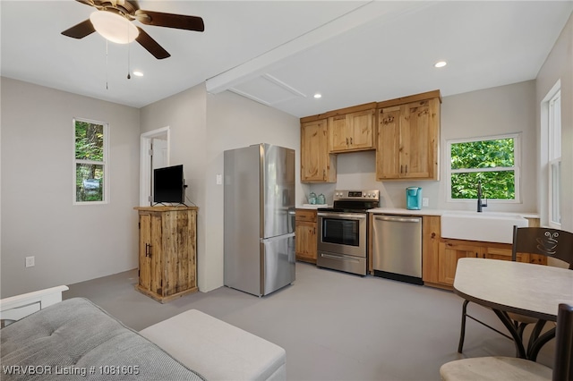 799 Sugar Maple Bnd, Rudy, AR 72952 - kitchen featuring appliances with stainless steel finishes, healthy amount of natural light, light countertops, a ceiling fan, and recessed lighting