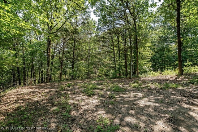799 Sugar Maple Bnd, Rudy, AR 72952 - view of tree filled area