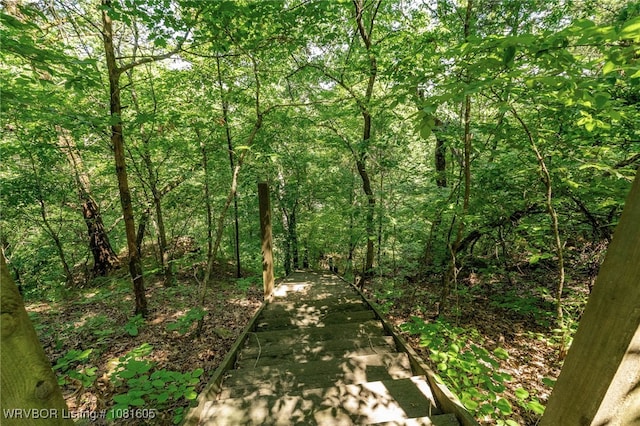 799 Sugar Maple Bnd, Rudy, AR 72952 - view of wooded area