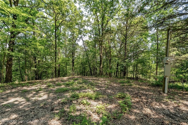799 Sugar Maple Bnd, Rudy, AR 72952 - view of tree filled area
