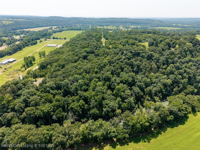 799 Sugar Maple Bnd, Rudy, AR 72952 - bird's eye view of a forest