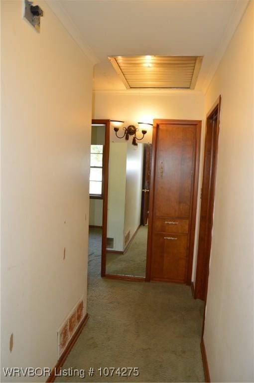 corridor with carpet floors and crown molding