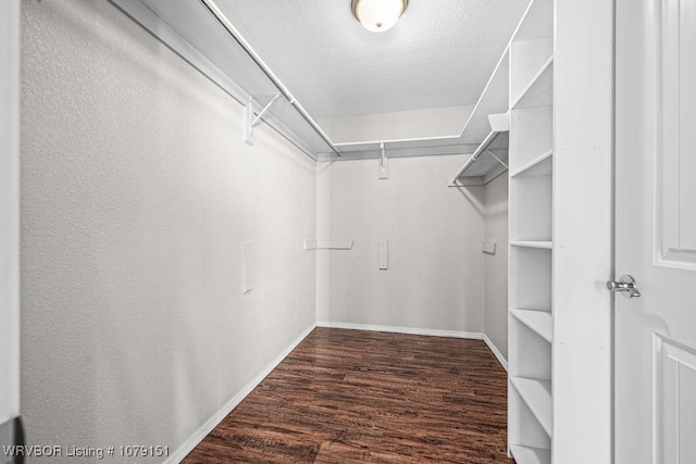 walk in closet with dark wood-style floors