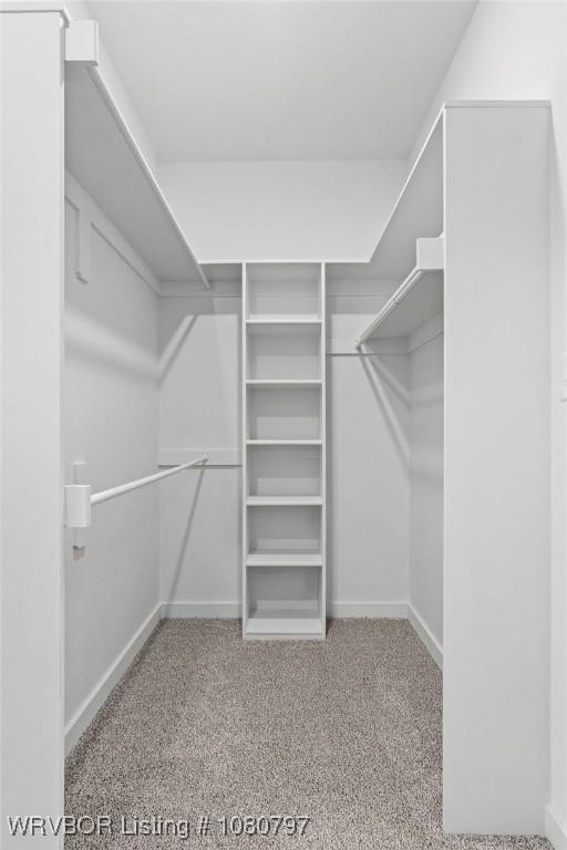 1317 Big Oak Dr, Alma, AR 72921 - walk in closet with carpet flooring