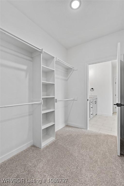1317 Big Oak Dr, Alma, AR 72921 - walk in closet featuring carpet floors