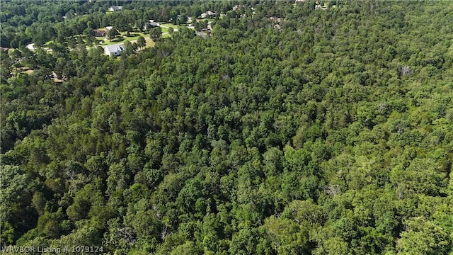 0000 Summer Loop, Cedarville, AR 72932 - photo 29
