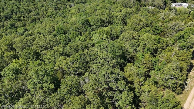 0000 Summer Loop, Cedarville, AR 72932 - photo 37
