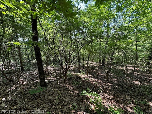0000 Summer Loop, Cedarville, AR 72932 - photo 18
