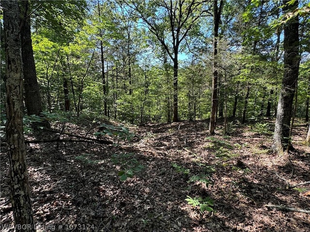 0000 Summer Loop, Cedarville, AR 72932 - photo 23